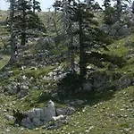 Rifugio Aquila 住宿加早餐酒店 Masseria di Rusciano