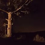 Rifugio Aquila * Masseria di Rusciano