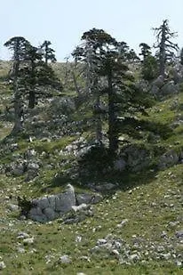 Rifugio Aquila Alojamento de Acomodação e Pequeno-almoço Masseria di Rusciano