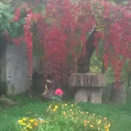 Rifugio Aquila Alojamento de Acomodação e Pequeno-almoço