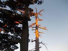 Bed & Breakfast Rifugio Aquila Masseria di Rusciano